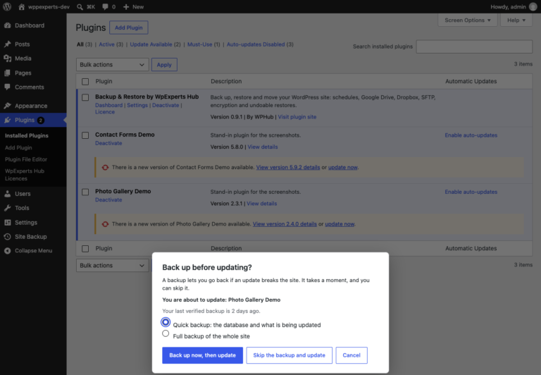 The dialog that offers a backup before a plugin update, with a skip option