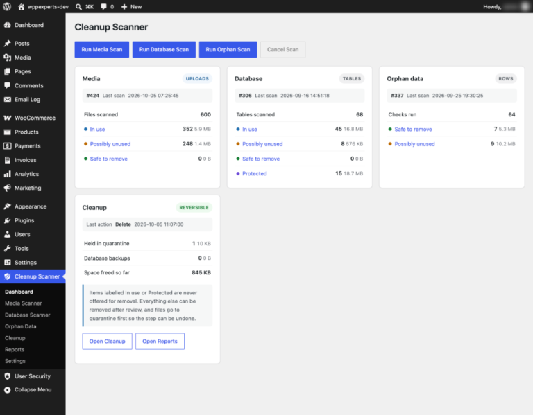 WordPress cleanup plugin dashboard with media, database and orphan data scan results