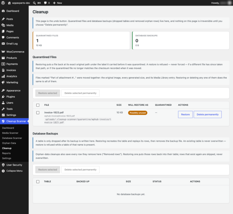 Cleanup page for restoring quarantined files and database backups