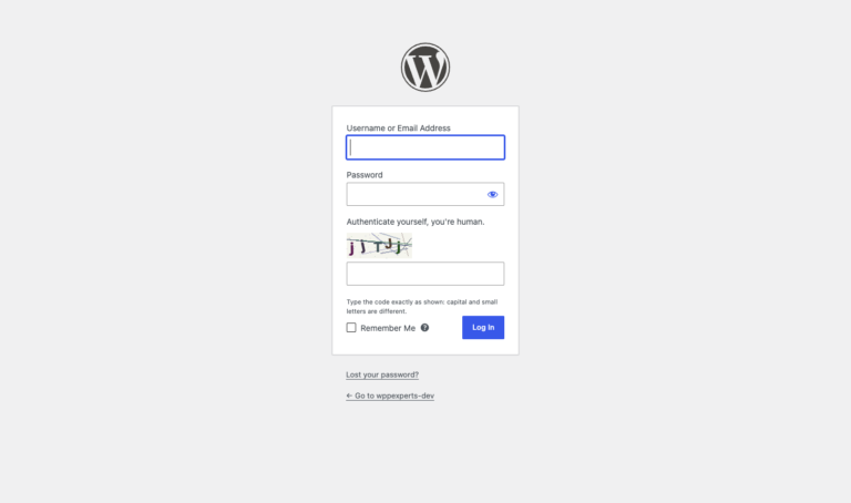 WordPress login form with an image code field above the Log In button