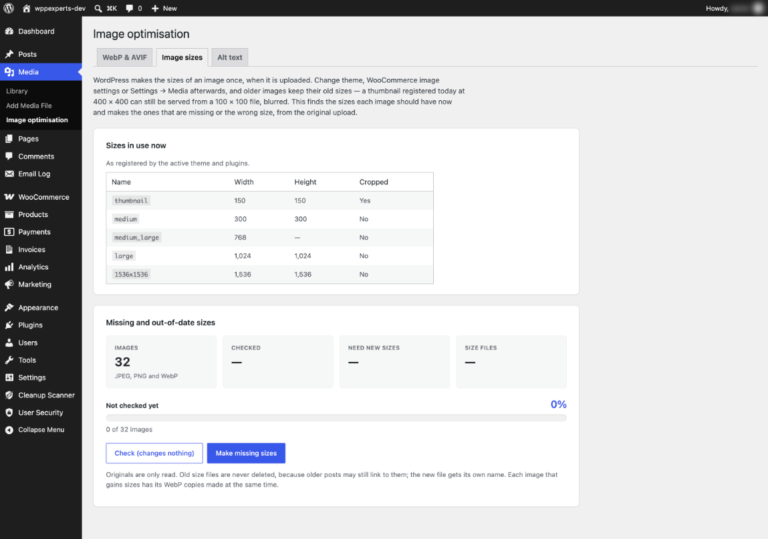Image sizes tab listing the sizes the theme uses and the missing ones